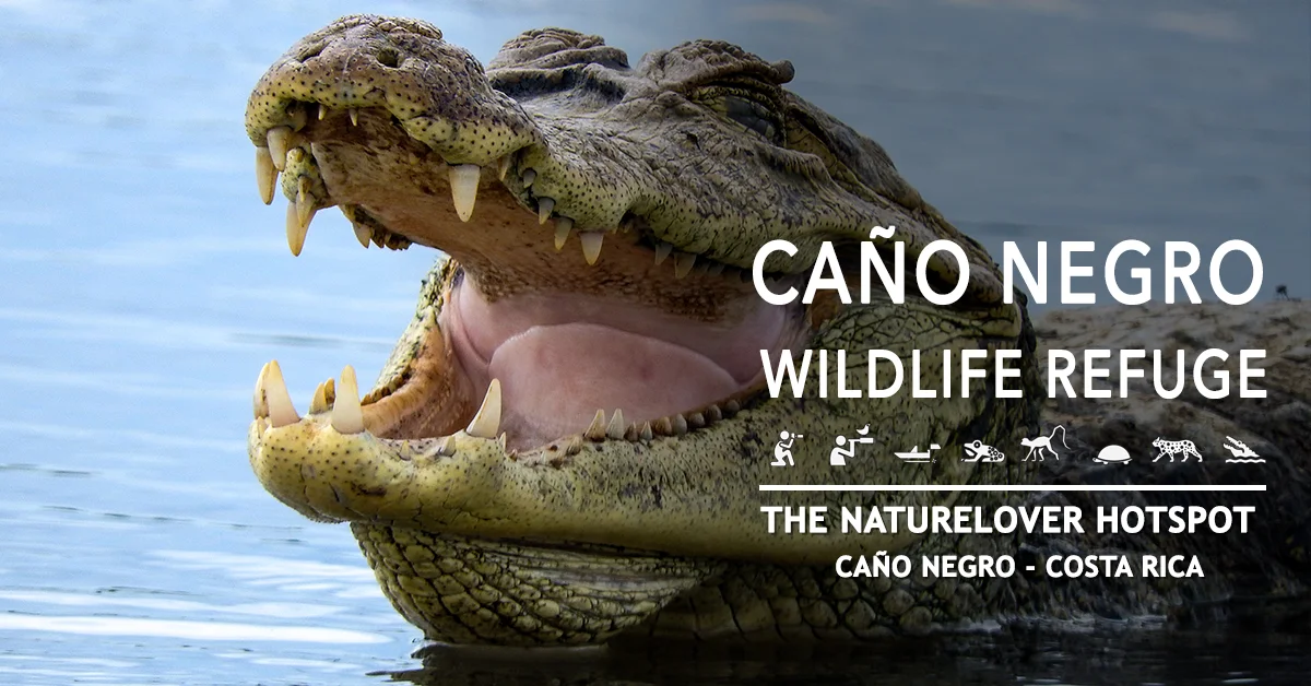 Original Caño Negro Wildlife Refuge