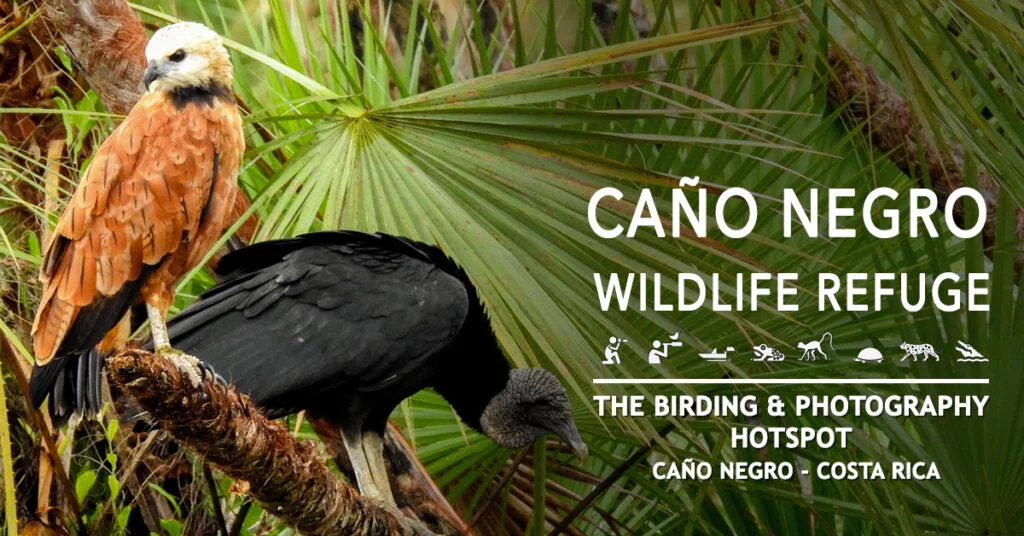 National Wildlife Refuge Caño Negro 10 Is Birdwatching in Caño Negro good?