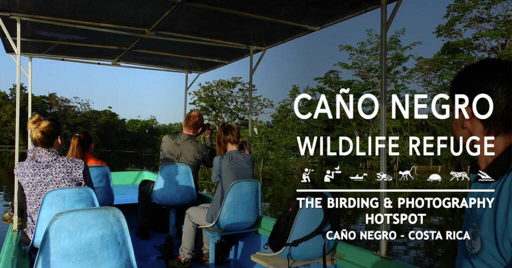 National Wildlife Refuge Caño Negro 14 Caño Negro boat tour?
