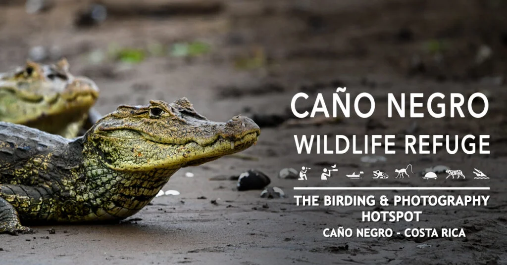 National Wildlife Refuge Caño Negro 13 Is Caño Negro Refuge a good place for Watching Wildlife?