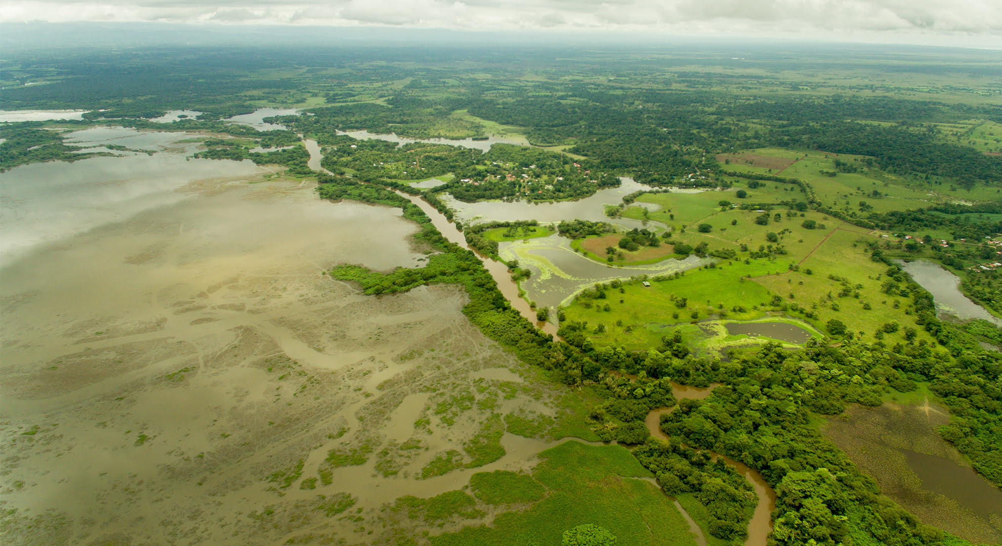 What can I do in the National Refuge of Caño Negro?