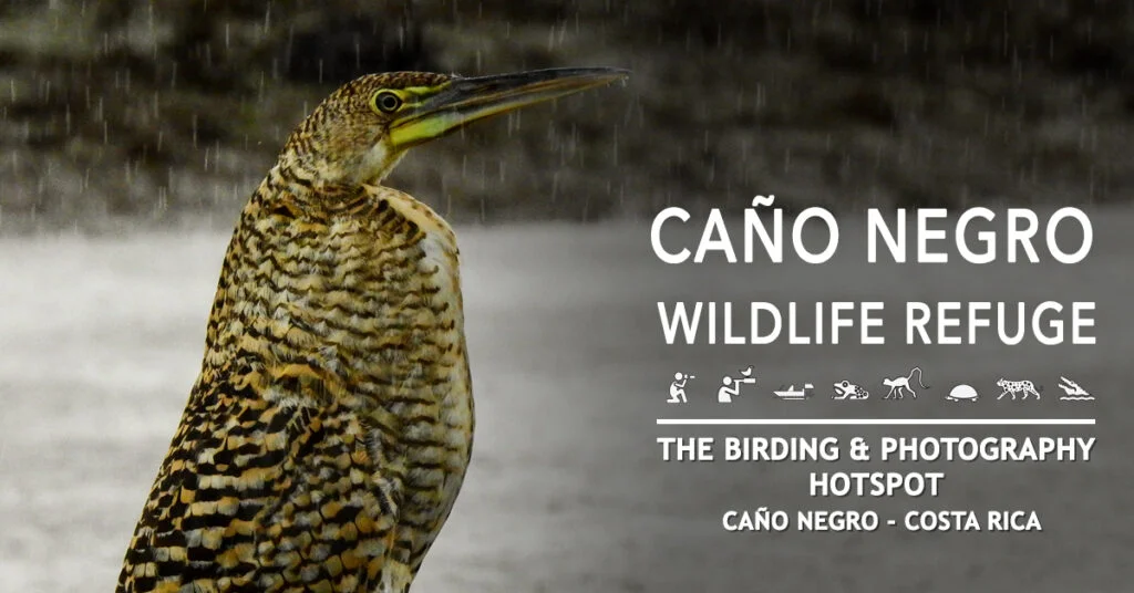 National Wildlife Refuge Caño Negro 8 How is the weather in Caño Negro?